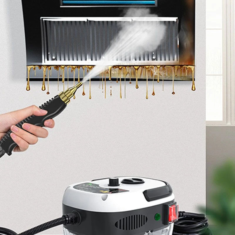 High Temperature Handheld Steam Cleaner